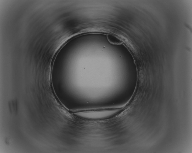 X0000091701228200709071341