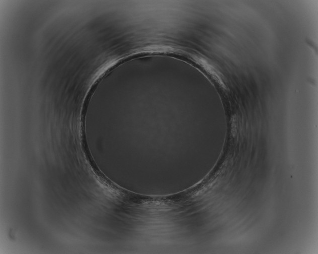 X0000091701229200709071341