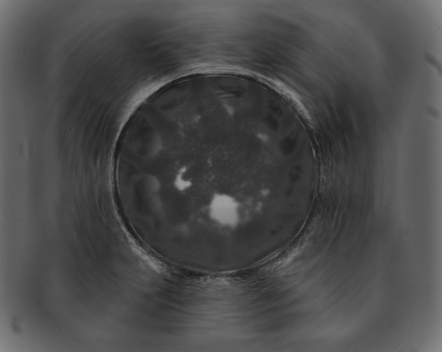 X0000091701231200709071341