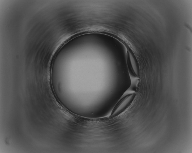 X0000091701232200709071341