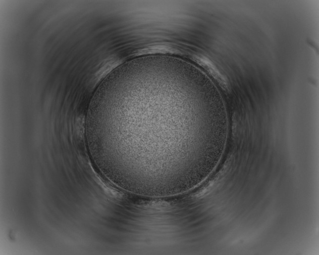 X0000091701233200709071341