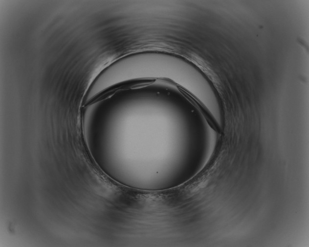 X0000091701234200709071341