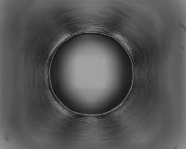 X0000091701235200709071341