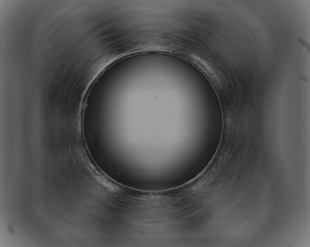 X0000091701236200709071341