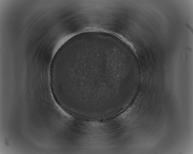 X0000091701239200709071341