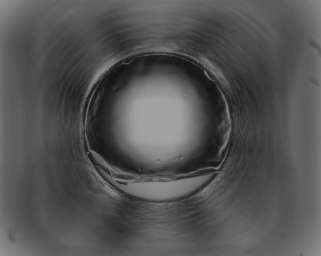 X0000091701240200709071341