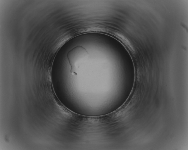 X0000091701241200709071341