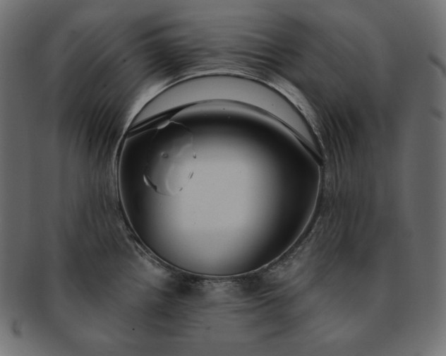 X0000091701242200709071341