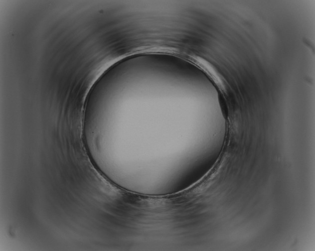 X0000091701244200709071341