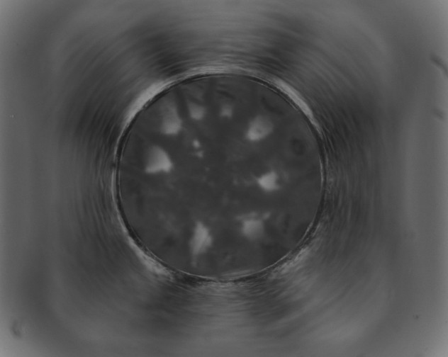 X0000091701245200709071341