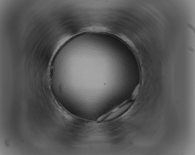 X0000091701248200709071341