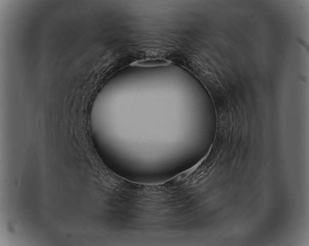 X0000091701249200709071341