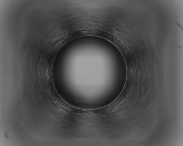 X0000091701250200709071341