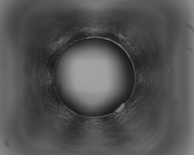 X0000091701253200709071341