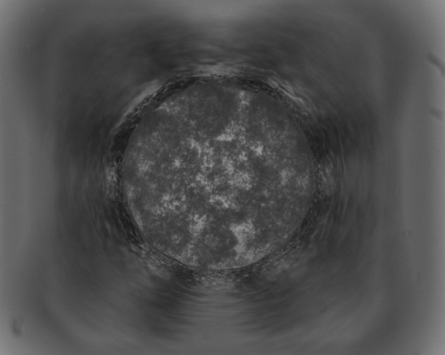 X0000091701254200709071341