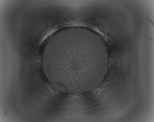 X0000091701255200709071341