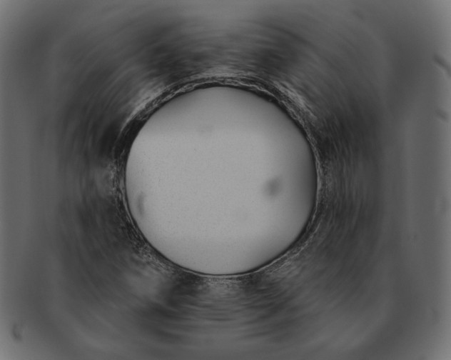 X0000091701258200709071341