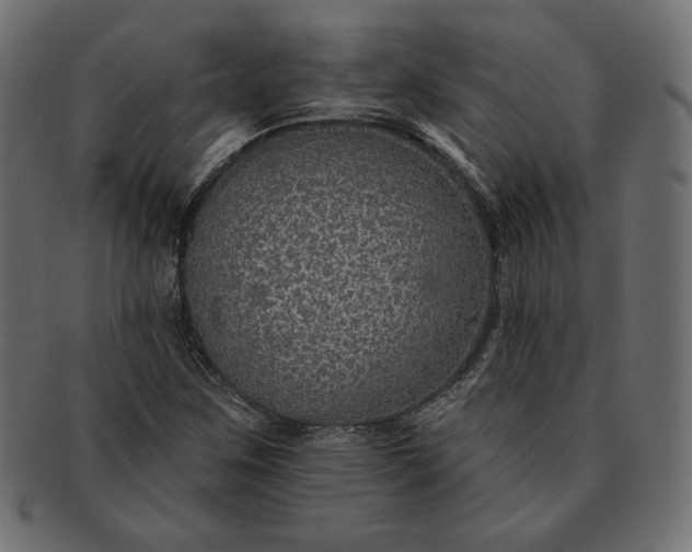 X0000091701259200709071341