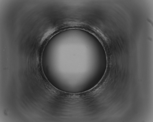 X0000091701261200709071341