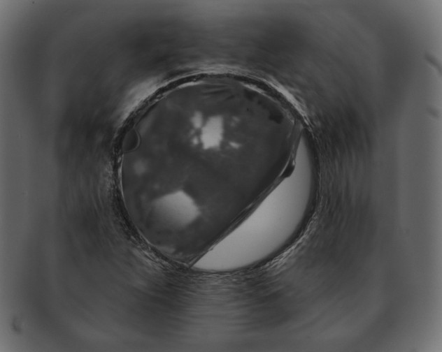 X0000091701263200709071341