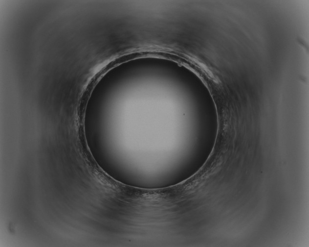 X0000091701264200709071341