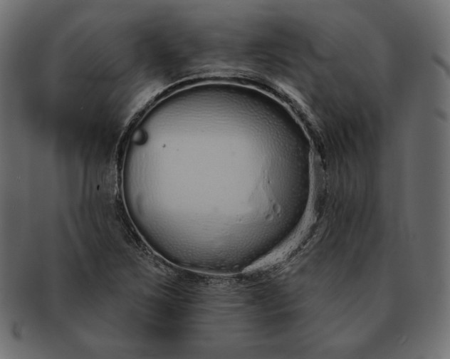 X0000091701267200709071340