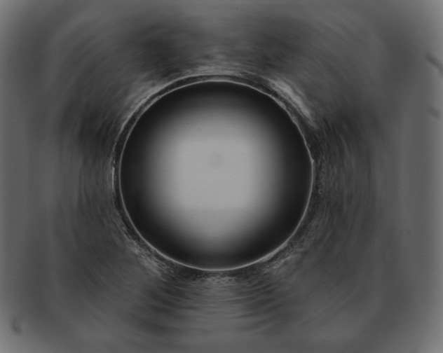 X0000091701268200709071340