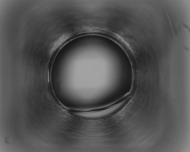 X0000091701269200709071340