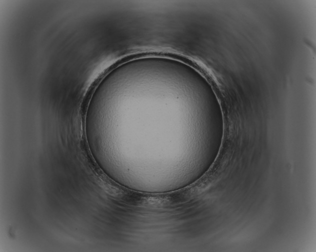 X0000091701271200709071340