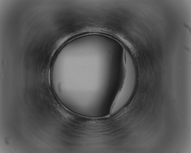 X0000091701272200709071340