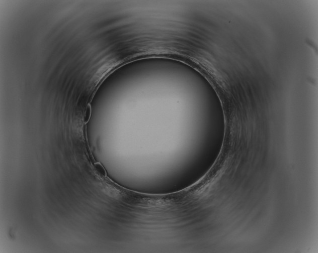 X0000091701273200709071340