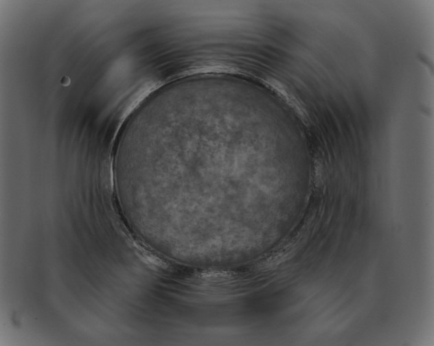 X0000091701274200709071340