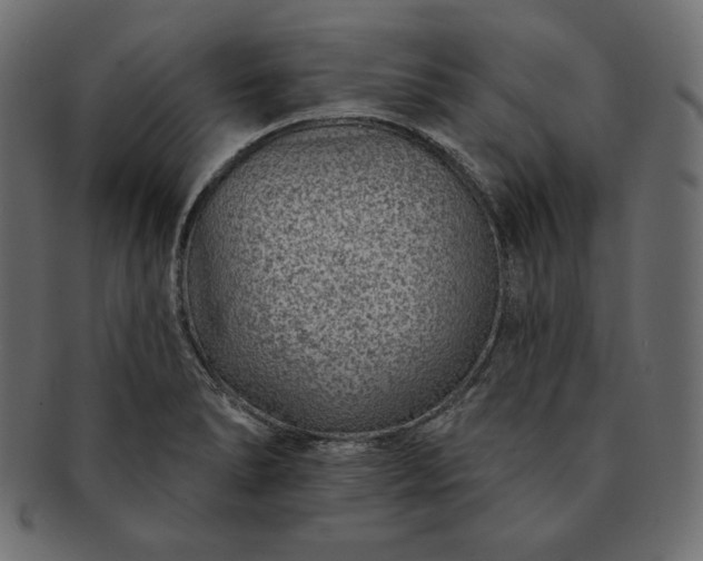 X0000091701278200709071340