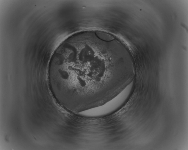 X0000091701279200709071340