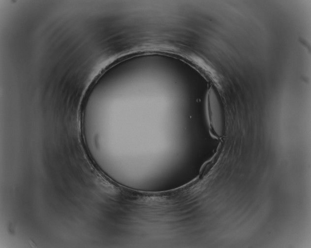 X0000091701280200709071340