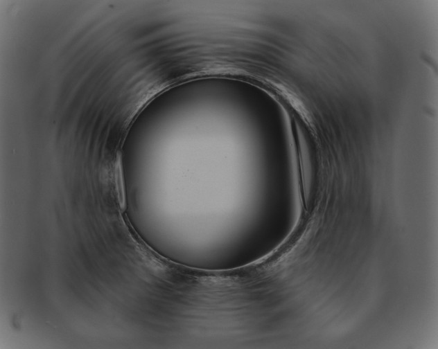 X0000091701281200709071340