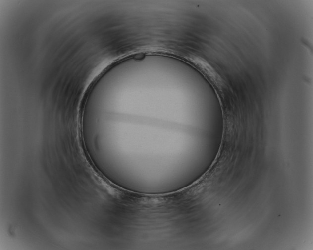 X0000091701286200709071340