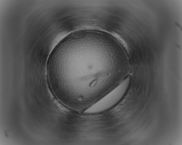 X0000091701287200709071340