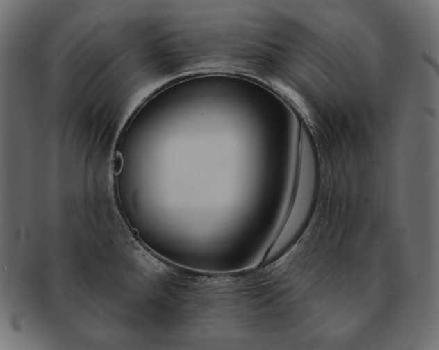 X0000091701288200709071340