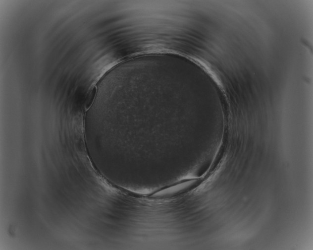 X0000091701289200709071340