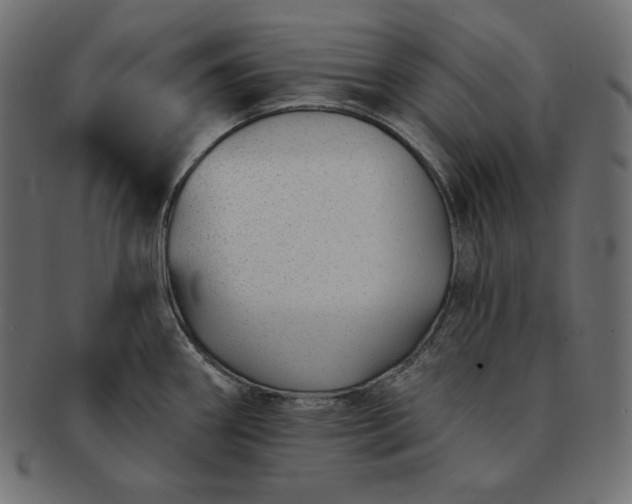 X0000091701290200709071340