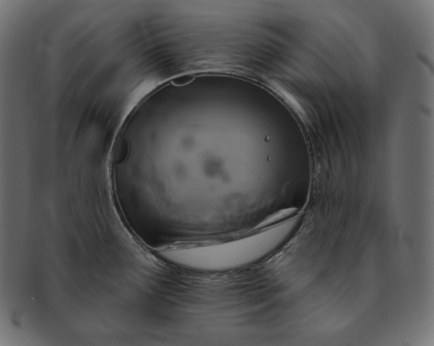 X0000091701291200709071340