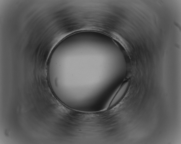 X0000091701292200709071340