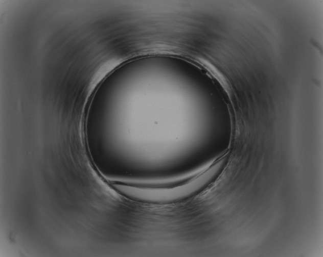 X0000091701293200709071340