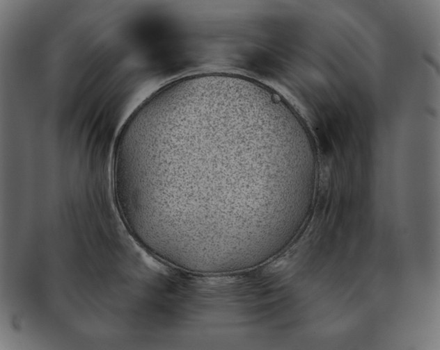 X0000091701294200709071340