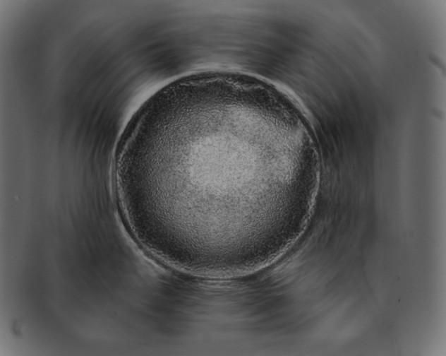 X0000091701295200709071340