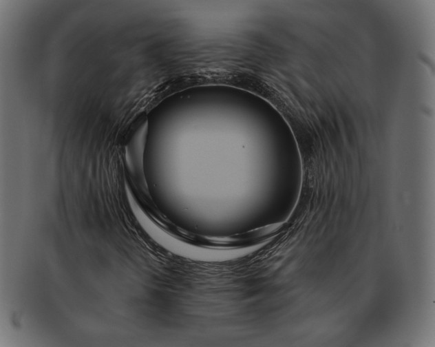 X0000091701298200709071339