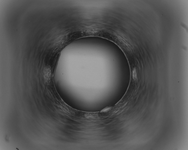 X0000091701299200709071339