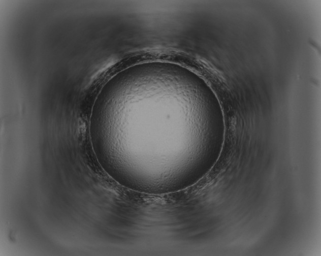 X0000091701302200709071339