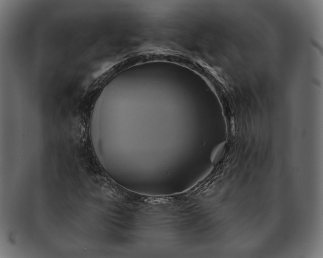 X0000091701303200709071340